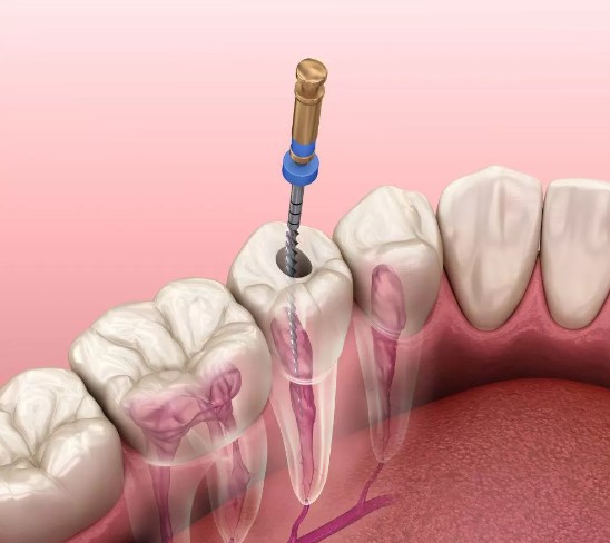 Trendy Pants and Shoes